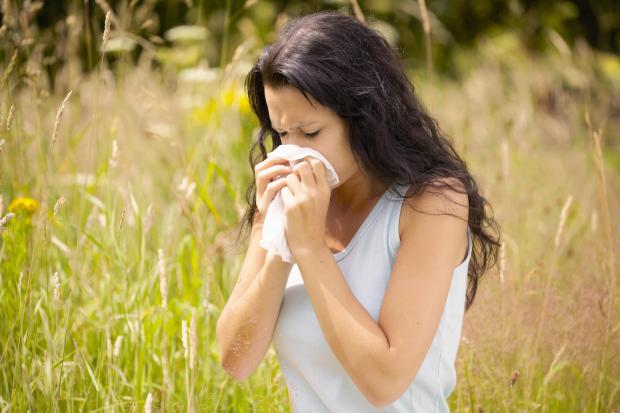 Experts are predicting hayfever will hit this weekend