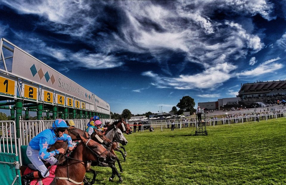 Sandown racecourse