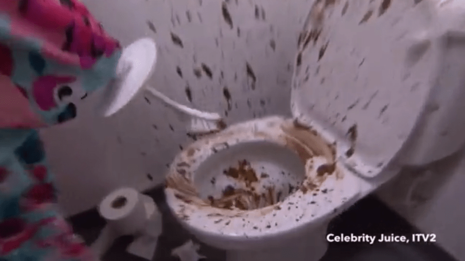  Holly has to clean a disgusting toilet smeared in brown muck