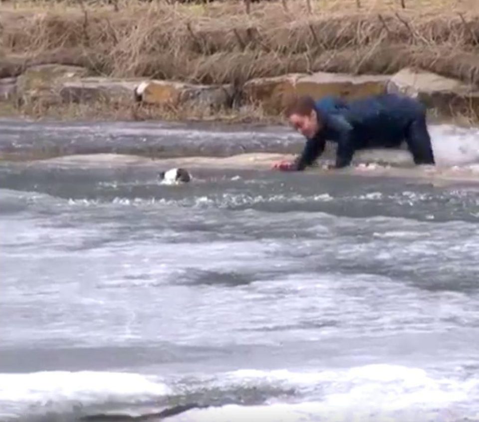  Duncan McIver jumped into a freezing pond to save his dog after the pup fell through the ice