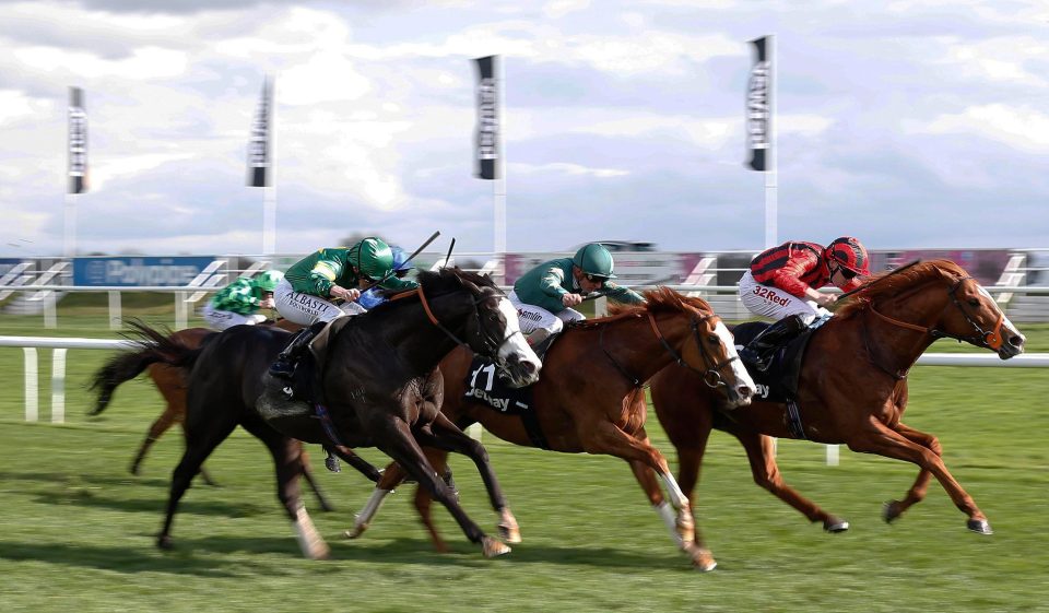  Kool Kompany (far left) should appreciate the ground on Saturday - provided it doesn't rain