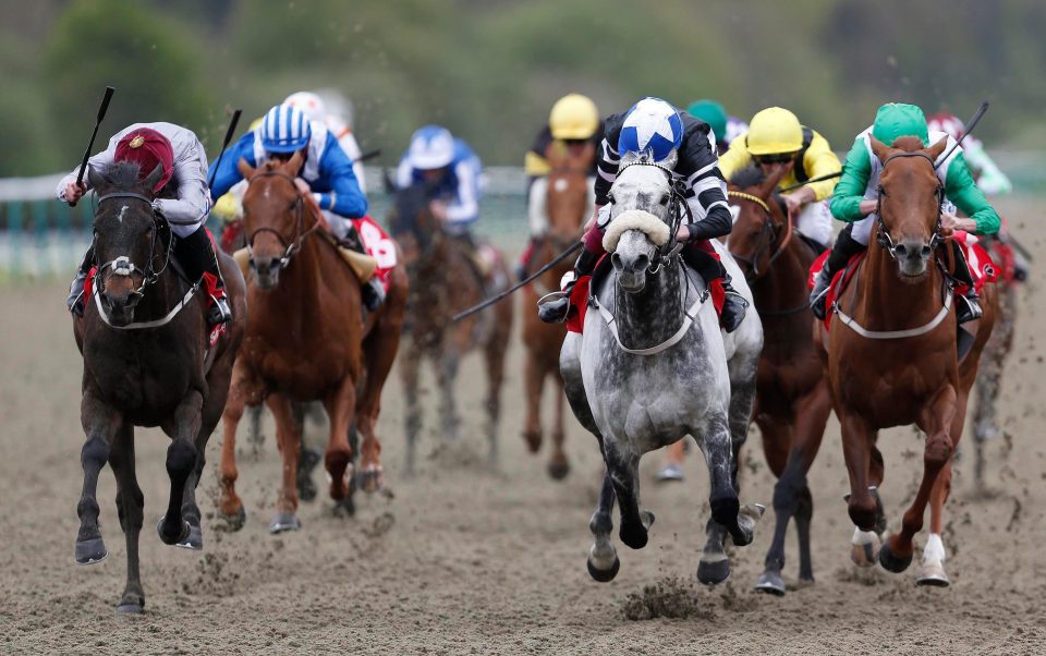  Carr's grey was a never-nearer fourth in the Diomed Stakes last year