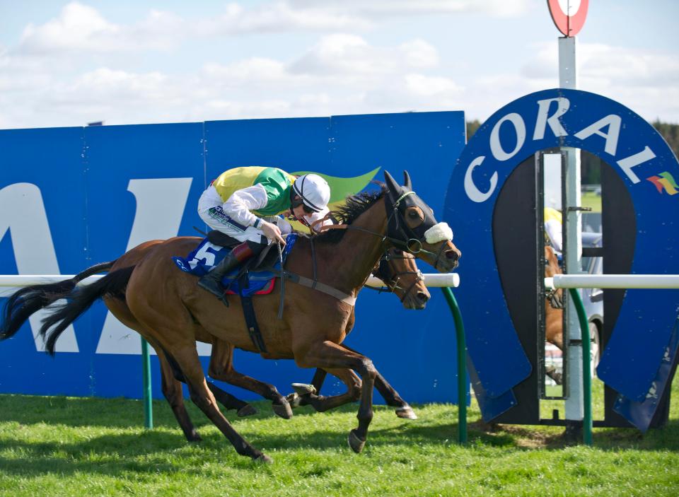  Vicente won the Scottish National for Nicholls