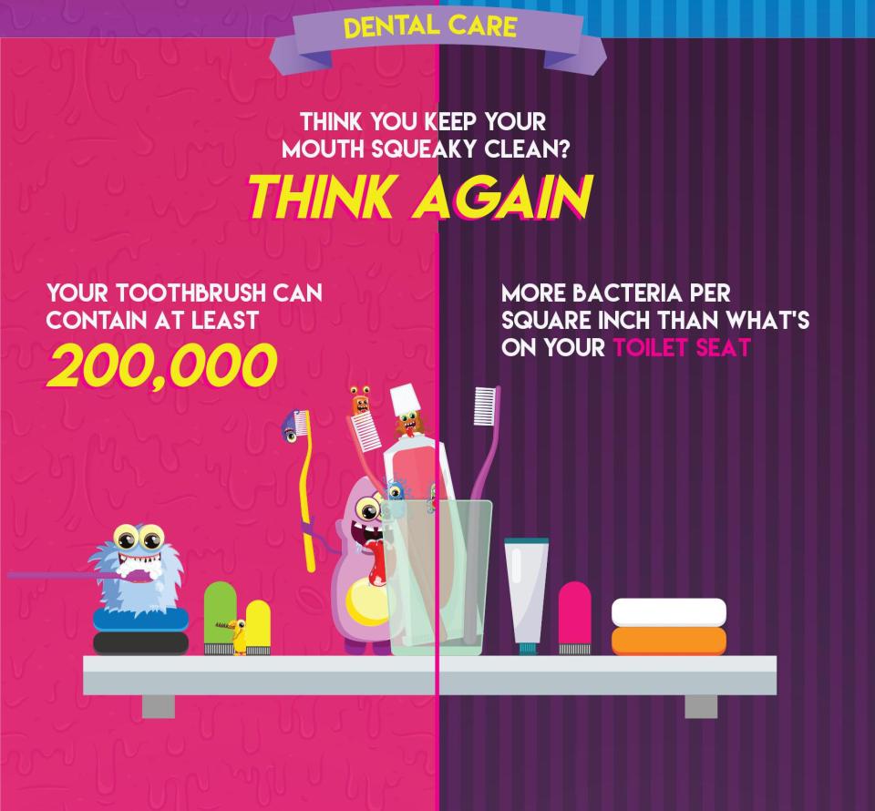  You may want to reconsider how often you replace your toothbrush - it could be dirtier than your toilet