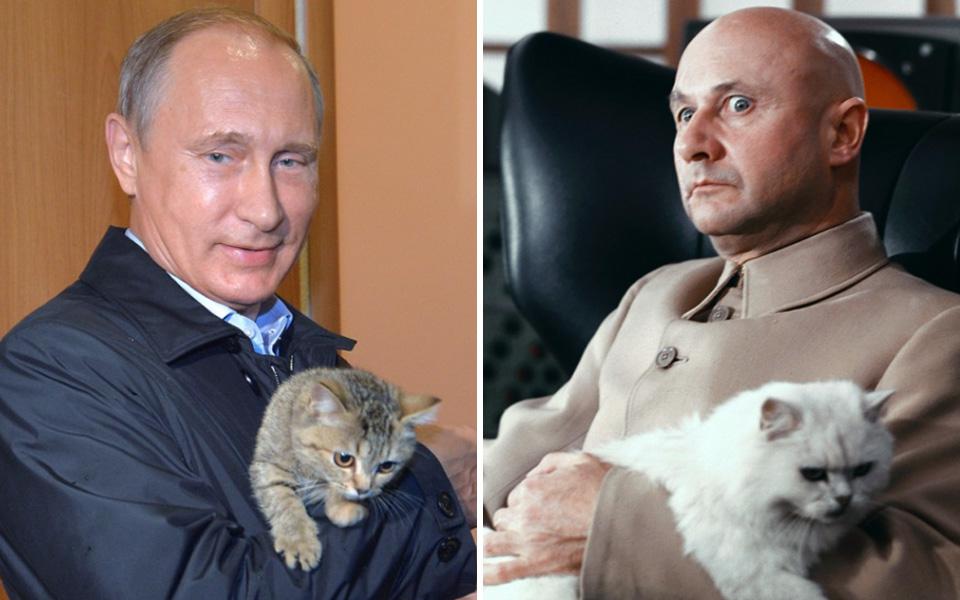  Putin's pussy looked at ease as he inspected construction works in 2015, and the president's sinister stare likens him to evil mastermind Ernst Stavro Blofeld in the 1967 Bond classic You Only Live Twice