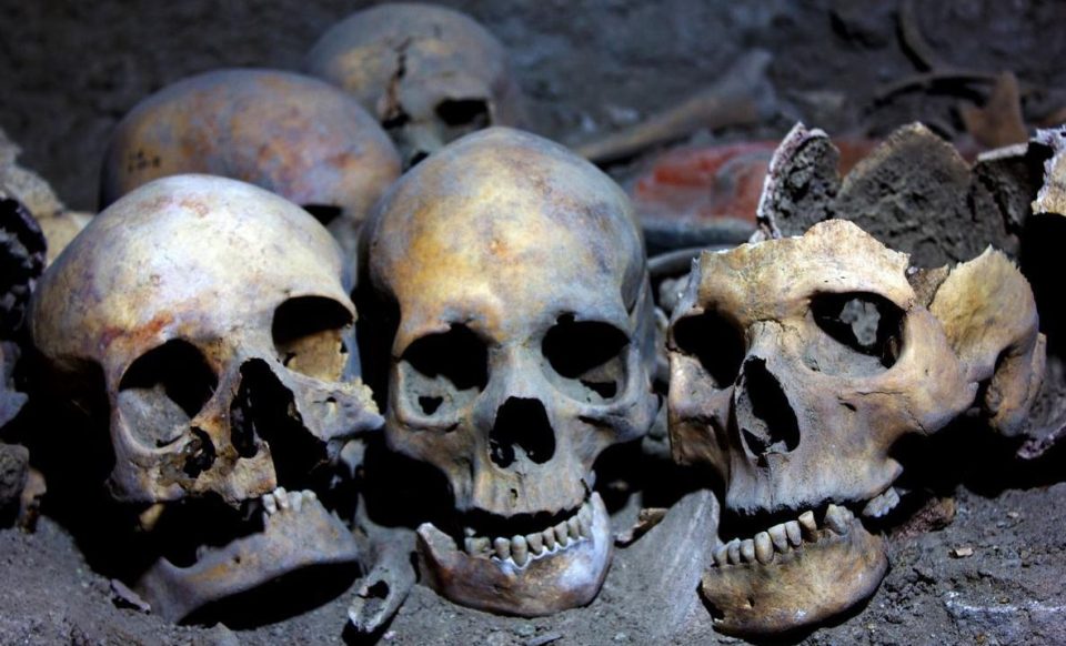  Skulls belonging to around 60 people were found at the site