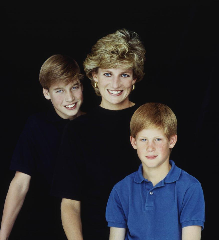 Family torn apart . . . Prince Harry with brother Prince William and mum Princess Diana in 1995