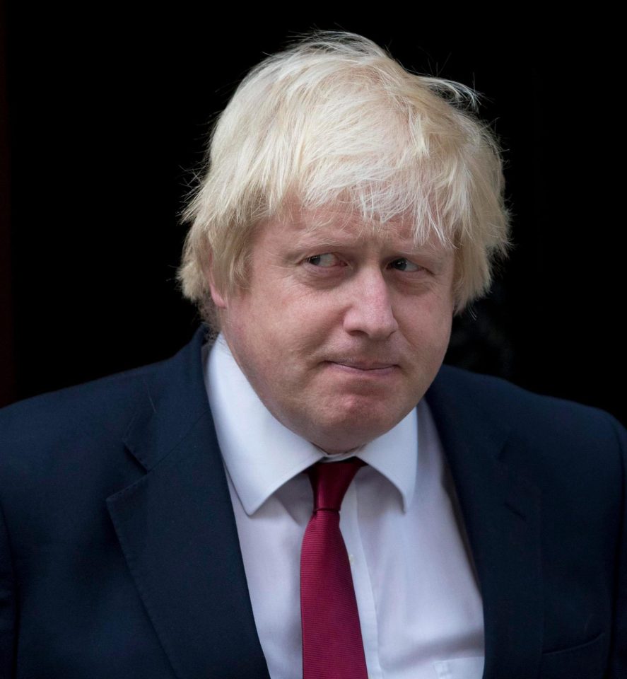  Foreign Secretary Boris Johnson has been given a free run by Ukip in West London seat