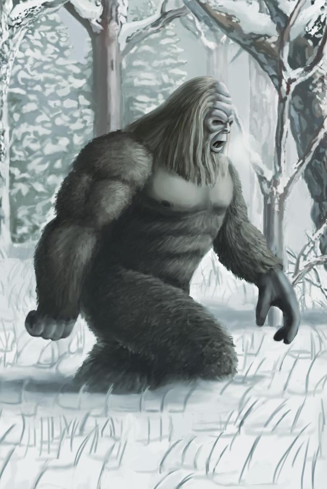  There have been many 'sightings' of Bigfoot from other years, some of which have been captured on camera