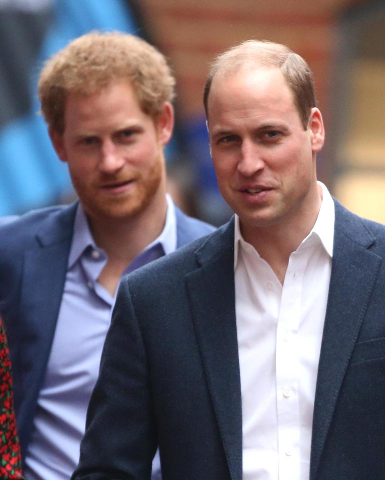  Prince William has backed his brother Harry over mental heath admission