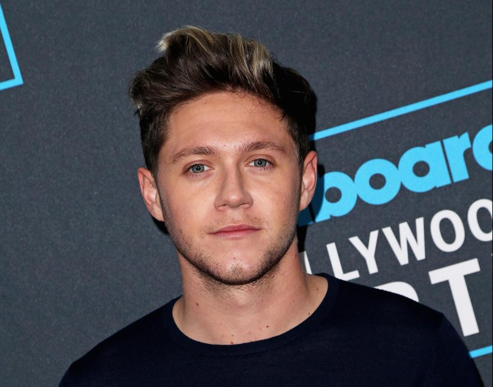  One Direction star Niall Horan will be at Ashford Castle for the wedding