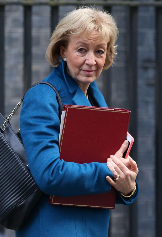  Andrea Leadsom faces a backlash with Tim Farron calling it 'just rubbish'