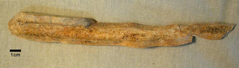  A total of 137 bones were found in a pit in the village - including this one which is a femur that was hacked in two