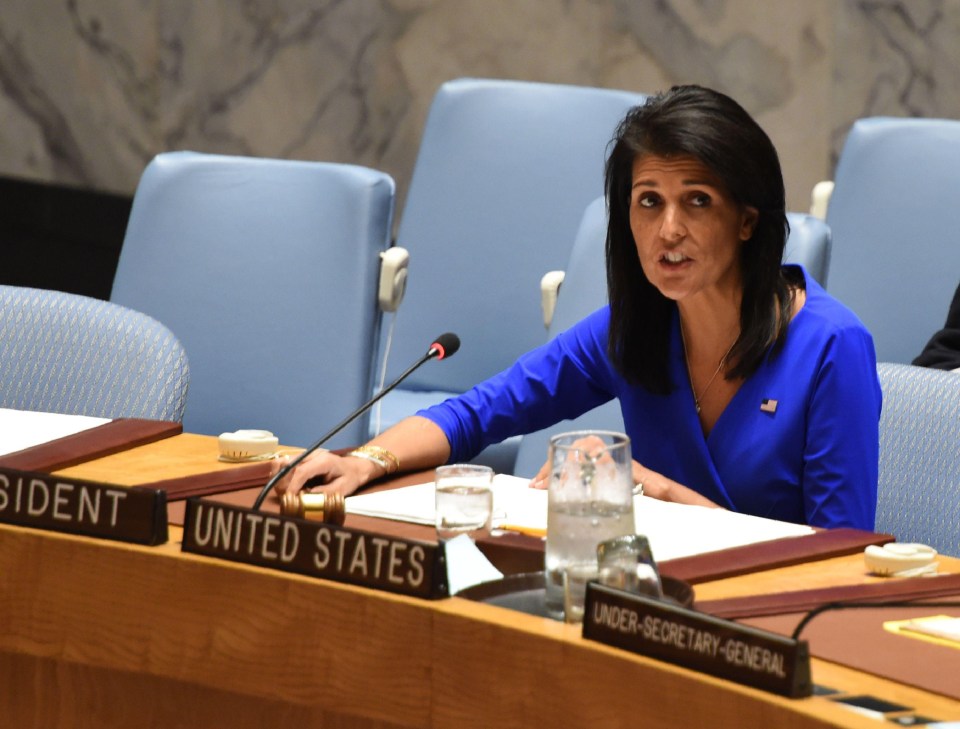 US Ambassador Nikki Haley warned that the US would take action if the UN fails to respond to the attack