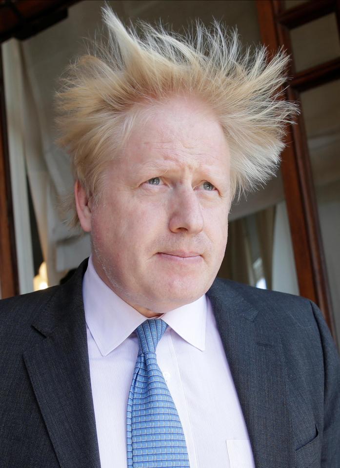  Foreign Secretary Boris Johnson is keen to support the US with regards to future air strikes