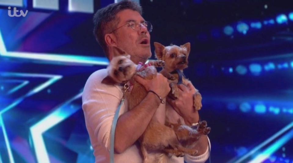  Simon Cowell is no stranger to canine guests on BGT