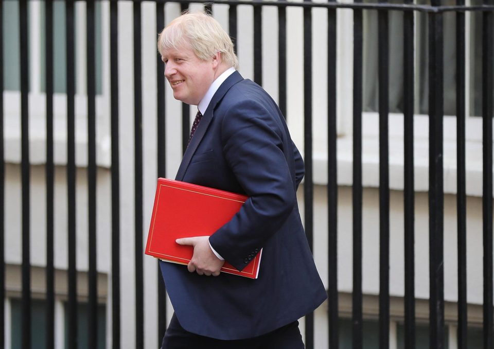  Boris Johnson has been one cabinet member tipped to replace May as PM