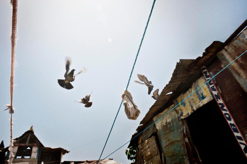  Ti-Haiti, one of the 9 districts of the Cite Soleil neighbourhood. One of the most tense of all Port-au-Prince. Paris terror