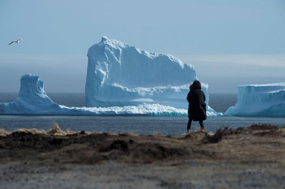  The giant ice mountain is the first iceberg of the season, making the route along a strip of water between Newfoundland and Labrador