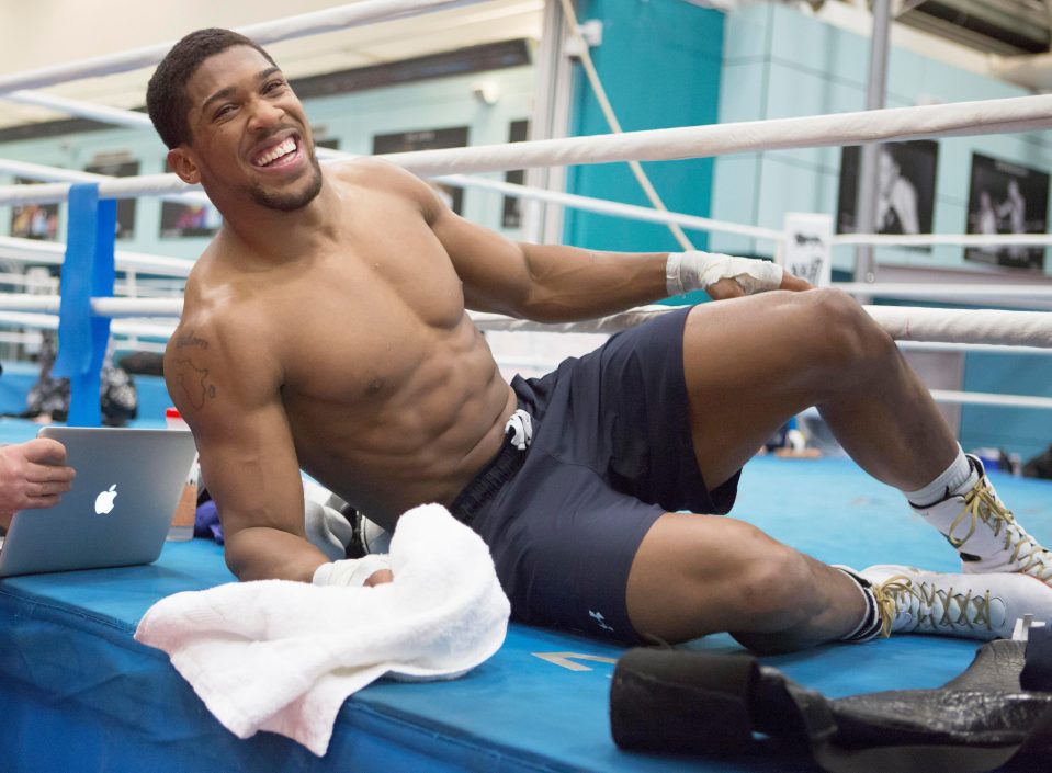  Anthony Joshua is set to earn £15MILLION from his megafight with Wladimir Klitschko at Wembley