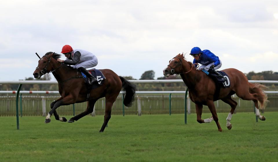  Cracksman (left) is an 8-1 shot for the Derby