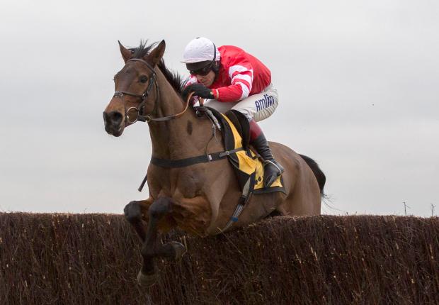 Coneygree