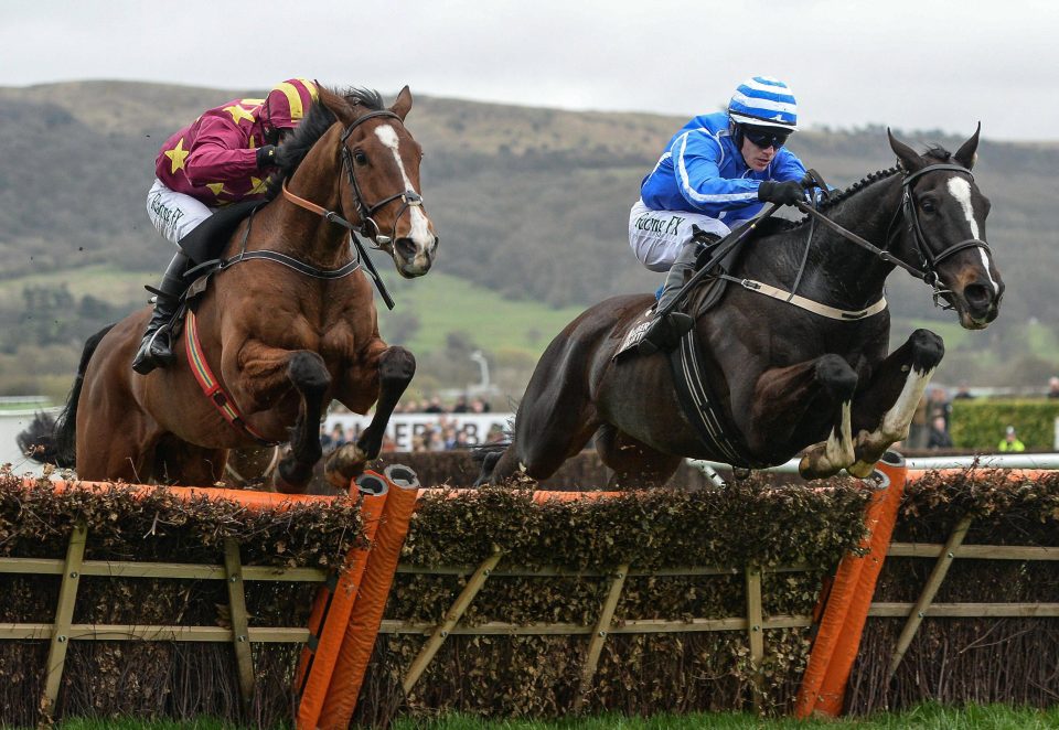  Monalee (left) had previously jumped well over fences before his crashing fall