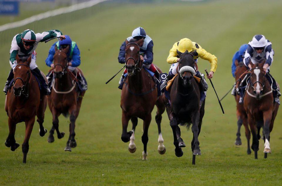  Horseplay (yellow) can step up in the Park Hill Stakes