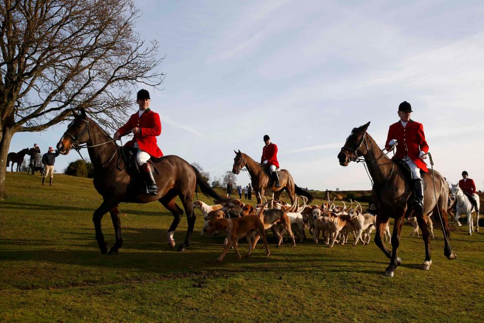 Fox Hunting