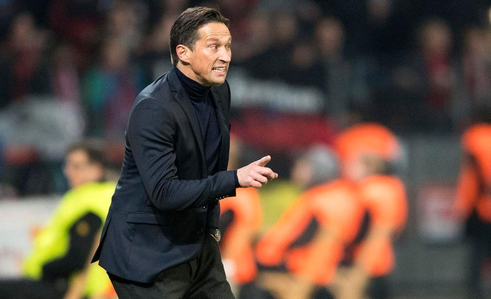  Roger Schmidt has emerged as Watford's number one candidate