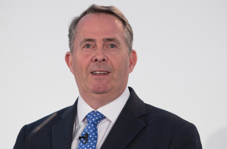 Brexit Secretary Liam Fox is banned from going to any meetings in Brussels to set up the groundwork for Brexit 