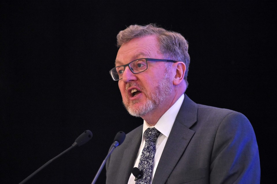 David Mundell Secretary of State for Scotland will be running against Beattie for the seat