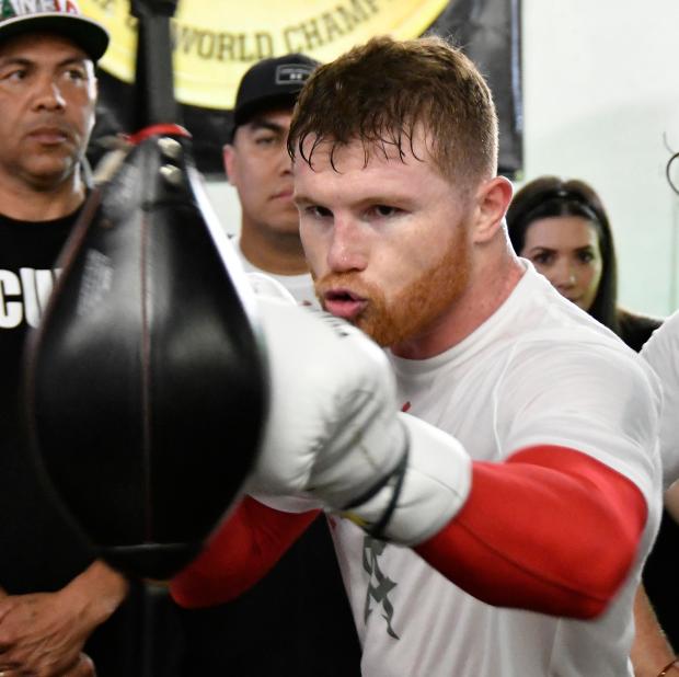 Saul Alvarez was given the nickname 'Canelo' because of his ginger hair and freckles