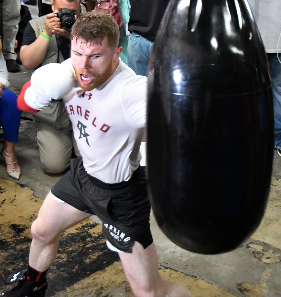  Saul 'Canelo' Alvarez has trained hard to become one of the biggest stars of world boxing