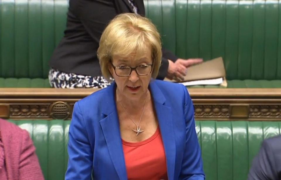  Andrea Leadsom must publish her plan to target dirty diesel cars by May 9