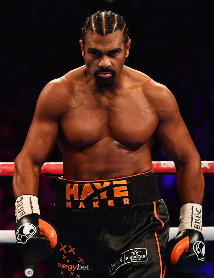  David Haye is targeting a return to the ring by December 2017