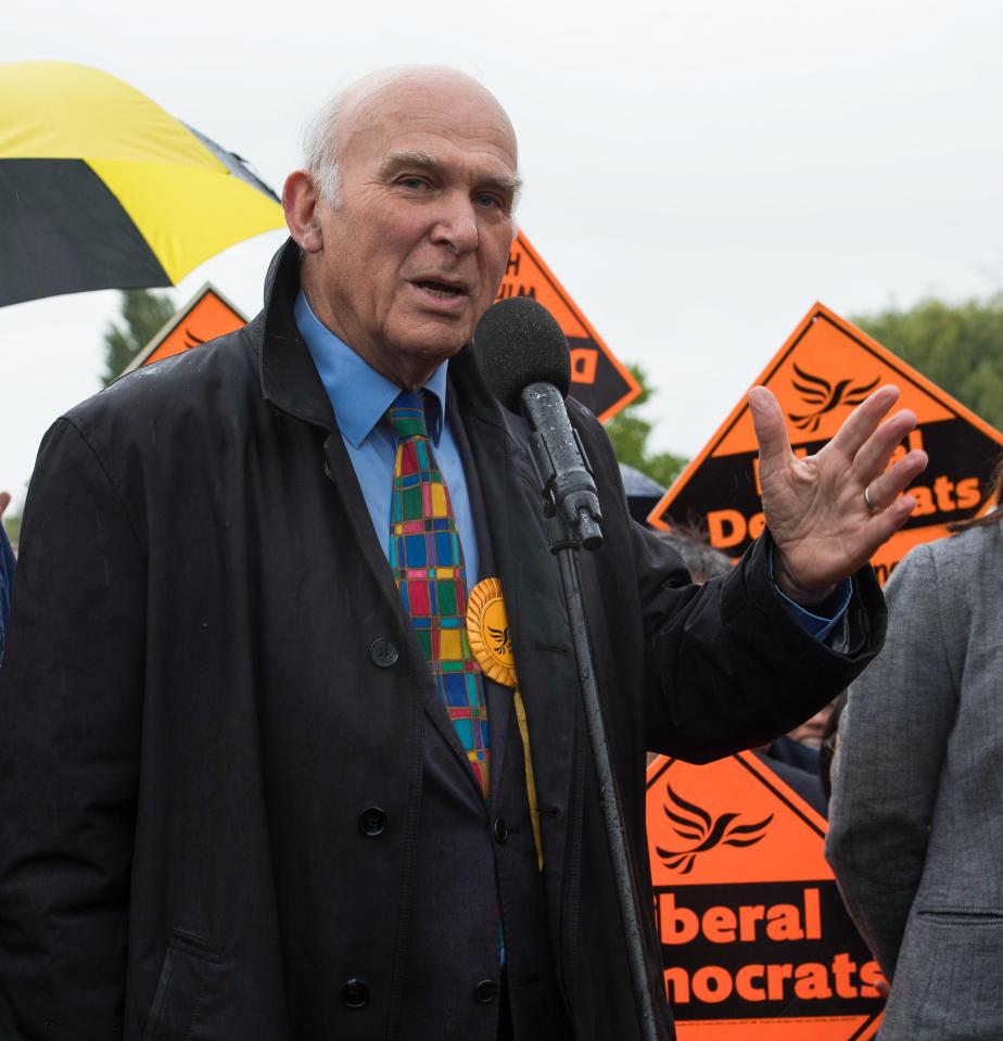  Former Business Secretary Vince Cable tells party members to 'act in a constructive way'