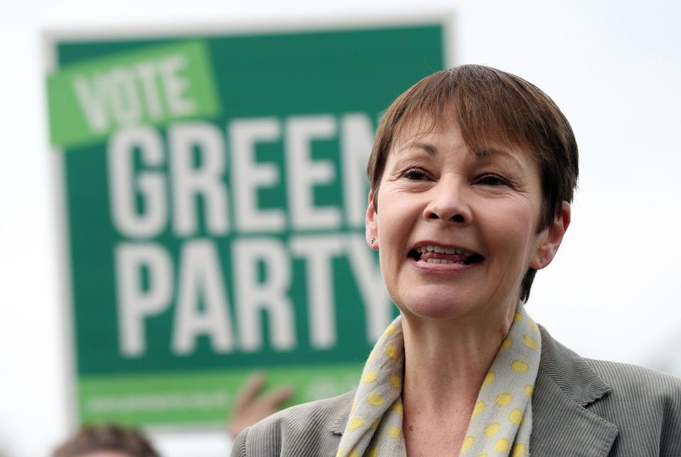  Green Party co-leader Caroline Lucas said there was 'enthusiasm and energy' for deals to defeat the Tories