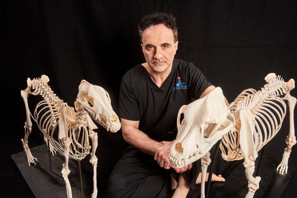 The Supervet on Channel 4, starring Noel Fitzpatrick, did better in the ratings