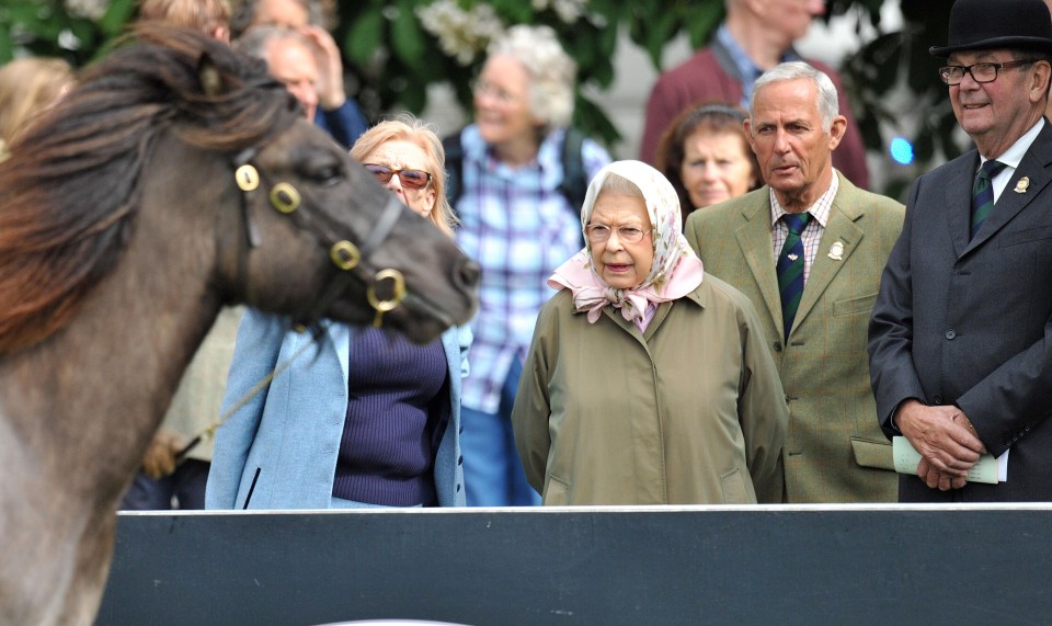 The Queen inspects a horse during the day’s events