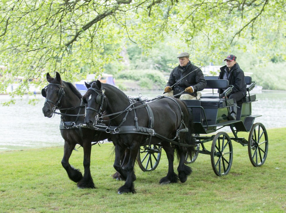 The Duke Of Edinburgh seemed entirely at ease as he steered carriage around Windsor Great Park