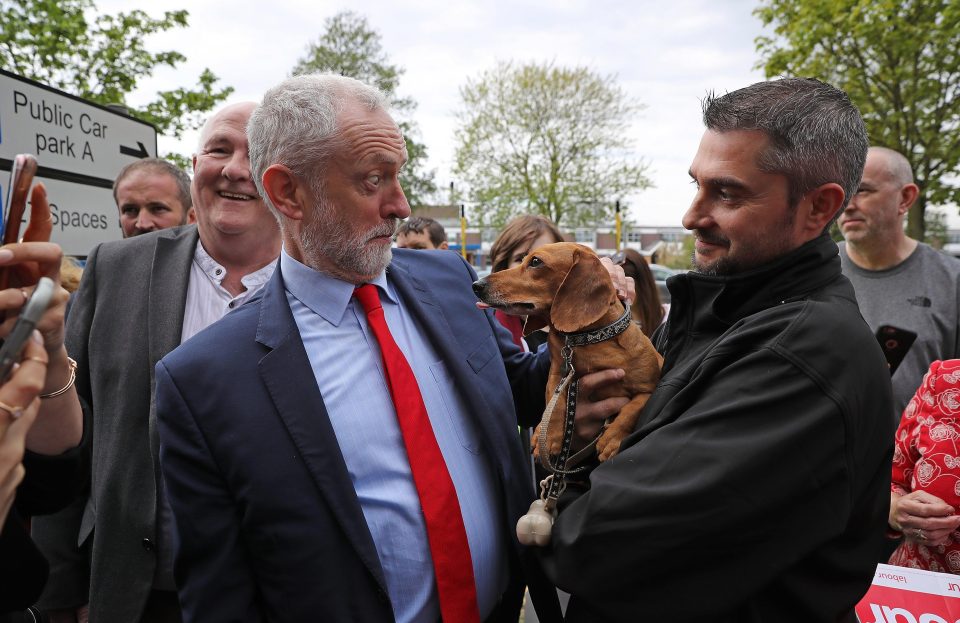  Cody the Dachshund 1, Jeremy Corbyn 0 - on the campaign trail in Great Yarmouth