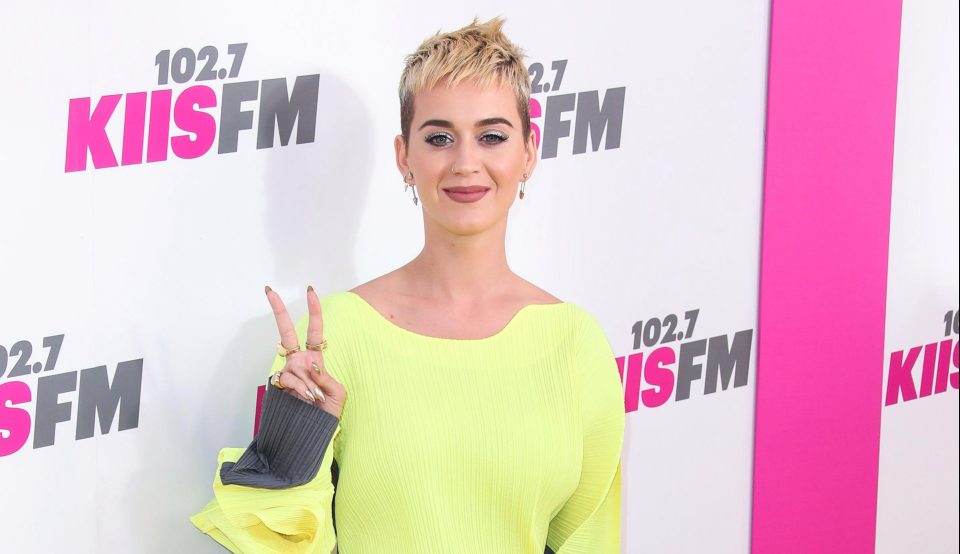 Katy Perry said she was ‘broken hearted for the state of this world’