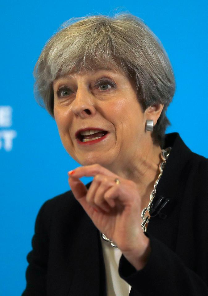  Theresa May has pledged to confront five 'great challenges' in her campaign manifesto