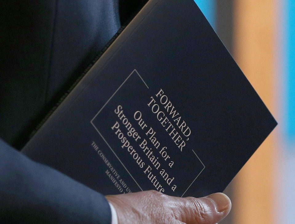 The Conservative manifesto is stocked with policies designed to take the country through Brexit