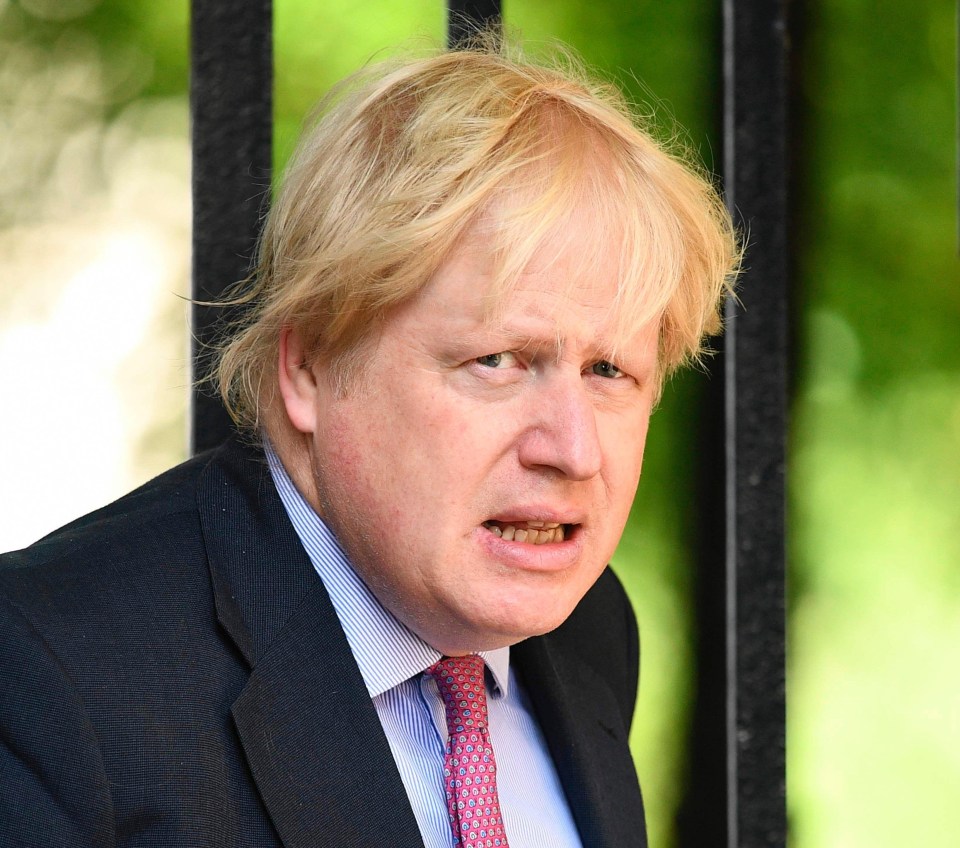 Foreign Secretary Boris Johnson is one of the political heavyweights subject to the travel ban