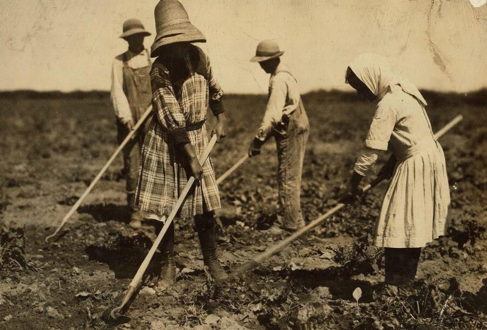  Instead of going to school or playing, these small kids, ranging from ten to 18 in age, would head to the fields to hoe for their parents in Colorado, 1915