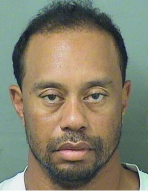  Tiger Woods, 41, apparently struggled during sobriety tests on Monday morning