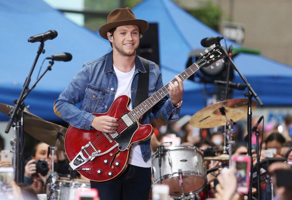  Former One Direction member Niall Horan will delight fans