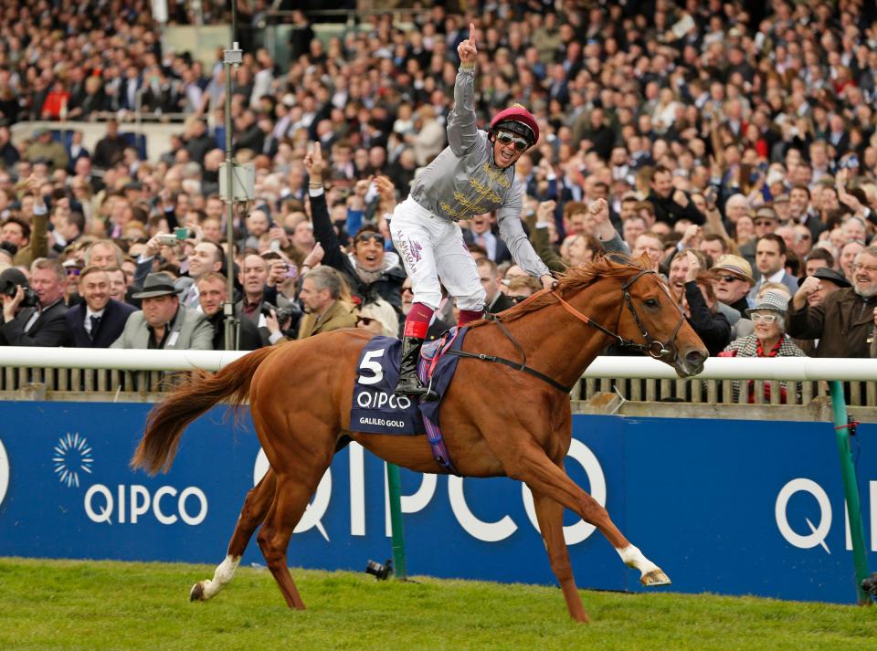  Galileo Gold will not race again